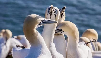 yl23455永利官方网站——开启极致娱乐新体验