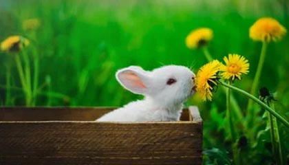 开云体育在线-格罗斯表态不愿拖累多特 坦然面对队内位置竞争