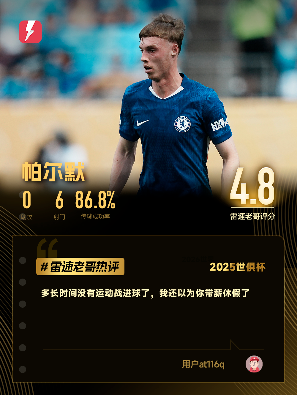 帕尔默热评.png